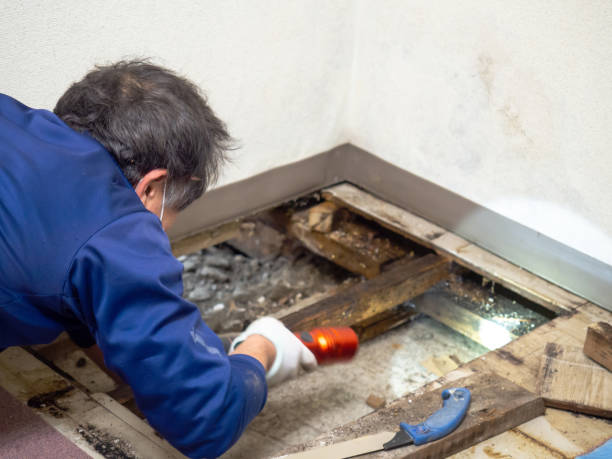 Best Water Damage Restoration  in Twin Lakes, CA