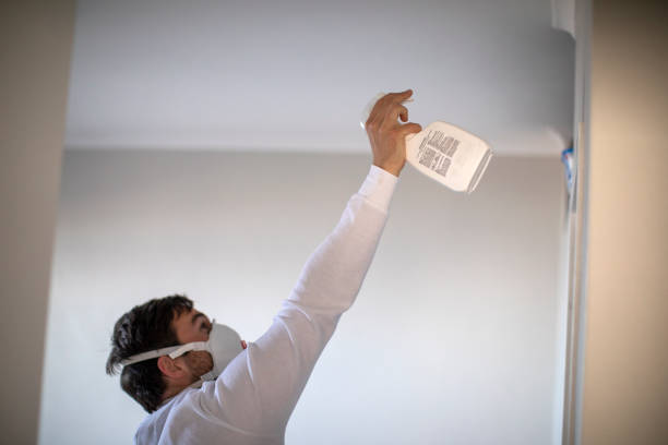 Best Mold Removal Specialists  in Twin Lakes, CA