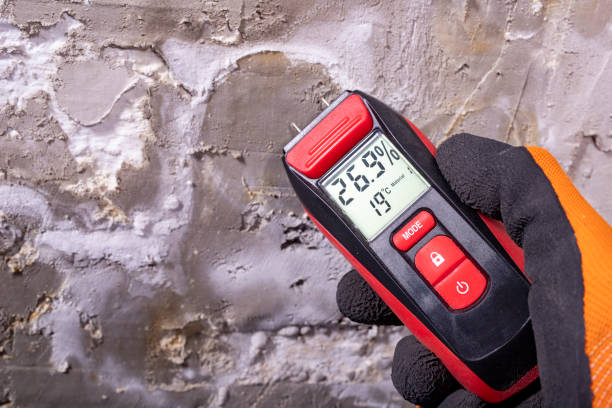 Best Certified Mold Removal  in Twin Lakes, CA