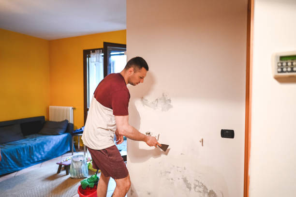 Best Crawl Space Mold Removal  in Twin Lakes, CA